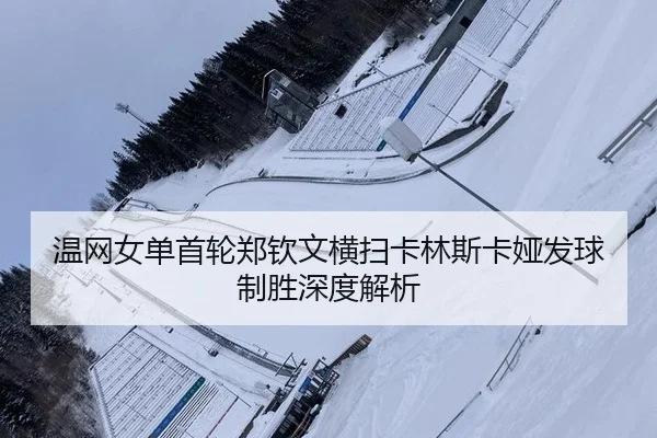 wen-wang-nv-dan-shou-lun-zheng-qin-wen-heng-sao-ka-lin-si-ka-ya-fa-qiu-zhi-sheng-shen-du-jie-xi-2-147.jpg