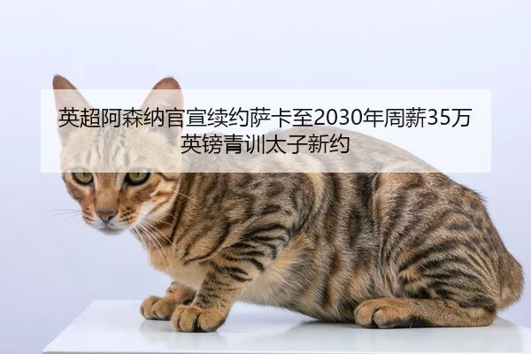 ying-chao-a-sen-na-guan-xuan-xu-yue-sa-ka-zhi-nian-zhou-xin-wan-ying-bang-qing-xun-tai-zi-xin-yue-2-675.jpg